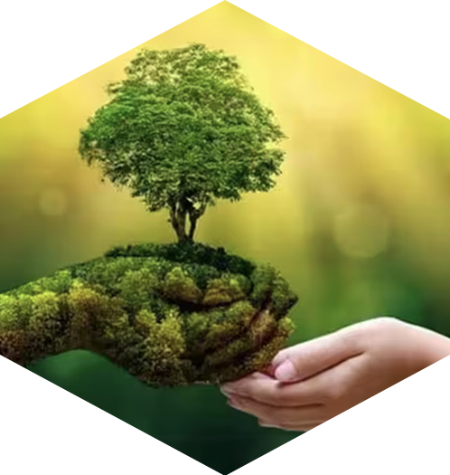 Hand giving a tree to another hand